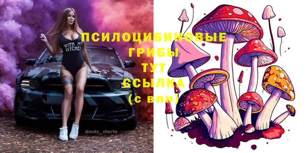 a pvp Вязьма