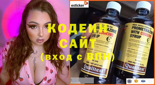 шишки Вяземский