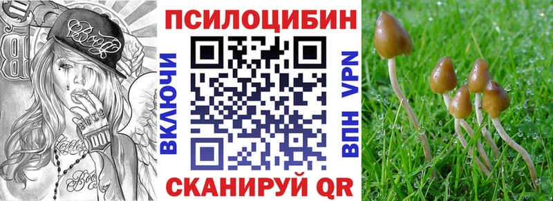 Галлюциногенные грибы мицелий  что такое наркотик  Снежинск 